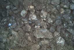 coolross 1275.JPG
